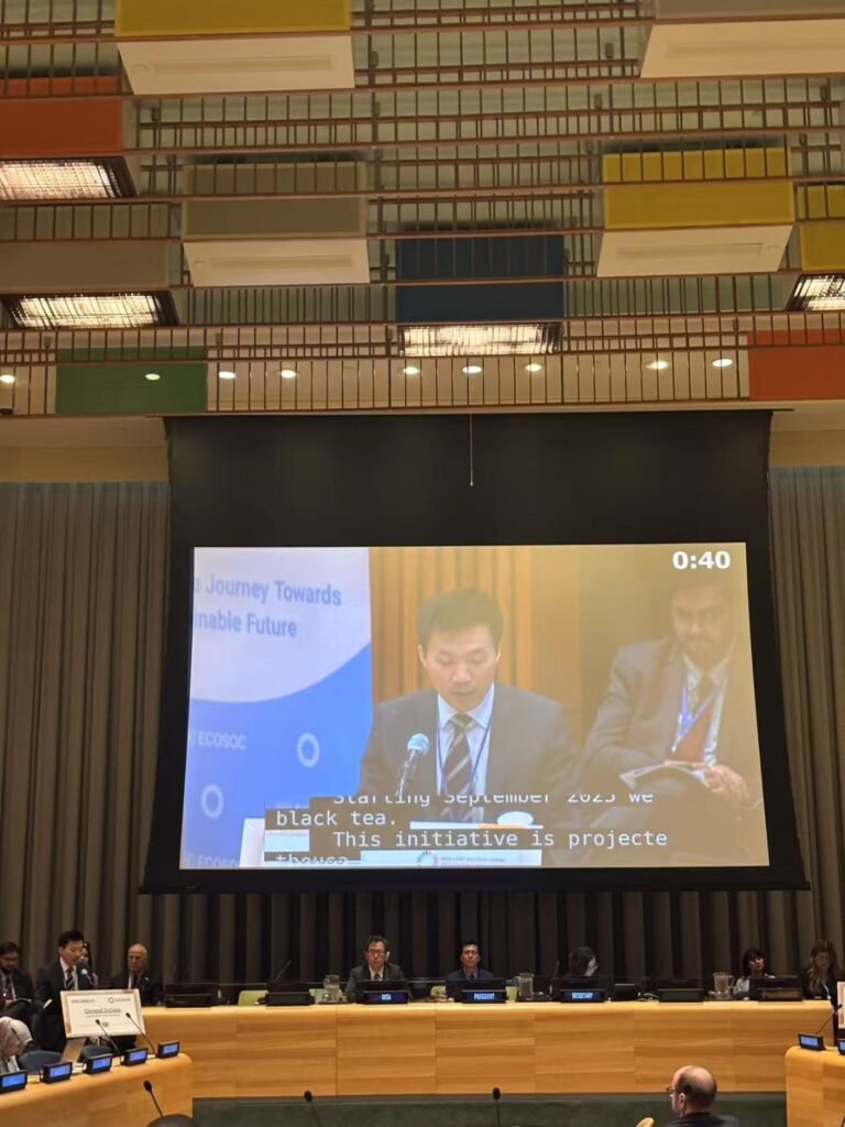 Dr. Bin Cai shown on the main screen of the United Nations conference hall during his remarks